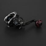 #color_Black Red