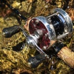 Gomexus Cypress Wood Reel Knob 22mm RF22 - Image 13